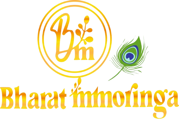 Retail Website Design Company